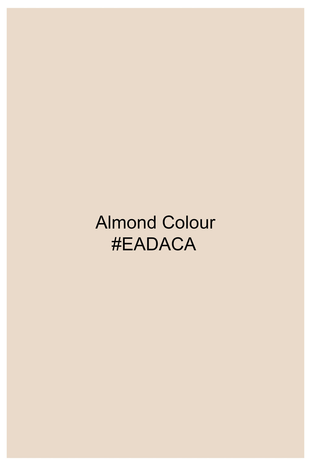 Almond Cream Printed Premium Cotton Oversized T-shirt